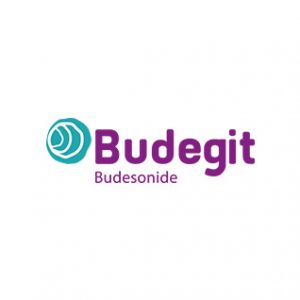 budegit-logo