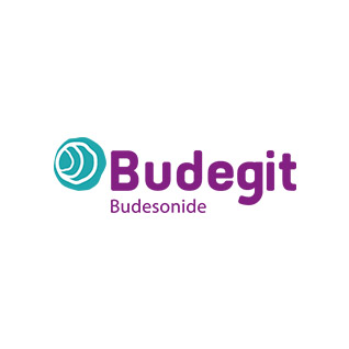 budegit-logo